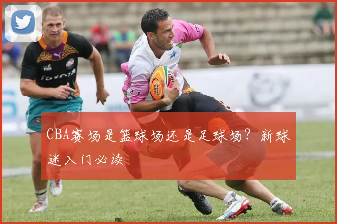 CBA赛场是篮球场还是足球场?新球迷入门必读