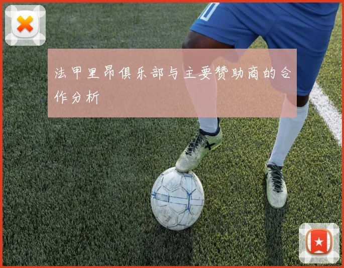 法甲里昂俱乐部与主要赞助商的合作分析