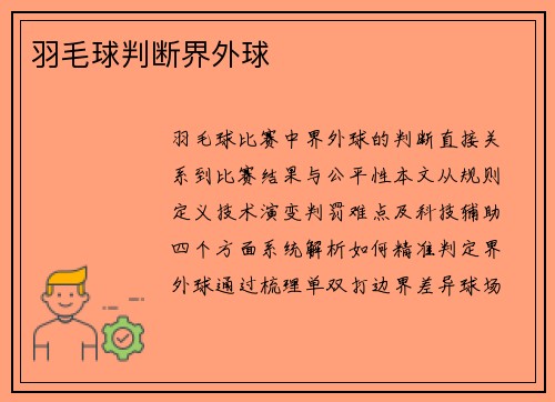 羽毛球判断界外球